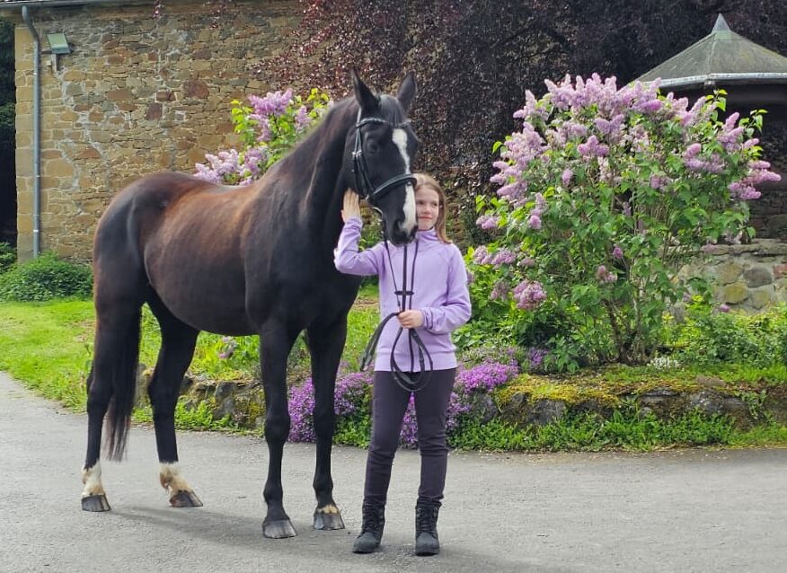 Tochter mit schwarzem Warmblut